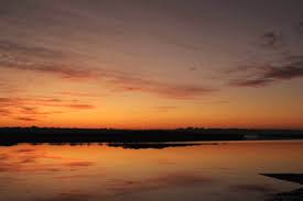 Dory is the deuteragonist of disney/pixar's 2003 animated film finding nemo and the titular protagonist of its 2016 sequel. Animated Gif About Pretty In It S A Wonderful World By Stell