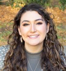 Hilton Head town meeting U.S. 278 Corridor Project controversy