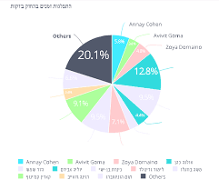 Missing Hebrew Labels In Pie Charts In Sisense V7 02