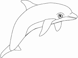 There's the choctawhatchee bay, the destin harbor, the destin pass, and the gulf of mexico. Harbor Porpoise Coloring Page Animals Town Animals Color Sheet Harbor Porpoise Printable Coloring
