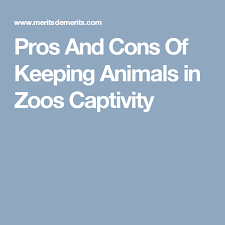 Pros And Cons Of Keeping Animals In Zoos Captivity One And Only Ivan Higher Education College Advice