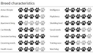 Meet The Breed Norwegian Elkhound Sheknows