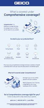 Shopping around for car insurance is one of the first things you do when you buy a new car. Insurance 101 What Does Comprehensive Cover Geico Living
