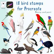 Procreate Stamps