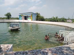 Kolam renang pribadi milik keluarga, selain sebagai tempat menyegarkan diri dan otak dengan olahraga renang, juga bisa sebagai tempat berkumpul bersama keluarga. Wisata Banyu Biru Nasibmu Kini Tak Sebiru Dulu Info Jawa Timur