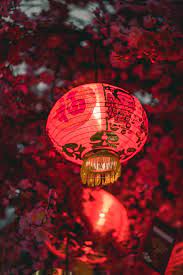 Happy chinese new year greeting in red and gold. 100 Chinese New Year Pictures Download Free Images On Unsplash