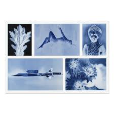 At ruff housing, we're focused on customized, quality care for your pet. Thomas Ruff Negatives Ii Buy Art Online Visit Mltpl