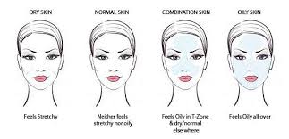 Knowing Your Skin Type And Skin Concerns Passion Heavenly