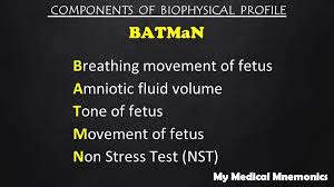 Image result for Biophysical Profile
