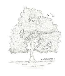 Tree Attempt No Color By Mirabilian On Deviantart Alfred is also a member of a cool art project/brand called anjavy, where young artists create unique work with ink.