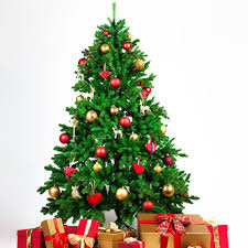 Real christmas trees are the epitome of the festive season and nothing says christmas is on its way like the ritual of buying and decorating a real tree. The 7 Best Places To Buy A Christmas Tree In 2021