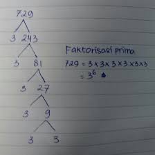 Tujuan dari penggunaan pohon faktor ini adalah untuk mencari faktorisasi prima dari bilangan yang di akar pangkat tigakan. Faktorisasi Prima Dari 729 Cm Kubik Brainly Co Id