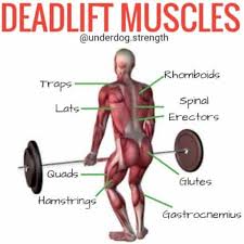 Deadlift Form Tip How To Engage The Lats Underdog