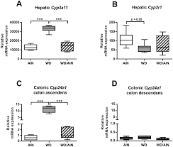 Nutrients Free Full Text Switching To A Healthy Diet Prevents The Detrimental Effects Of Western Diet In A Colitis Associated Colorectal Cancer Model Html