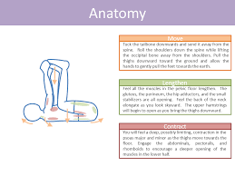 Happy Baby Pose Ananda Balasana Yoga Anatomy Happy Baby Pose Energy Yoga
