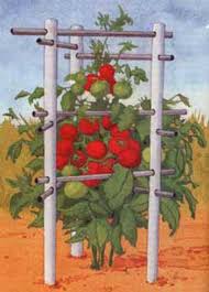 Trellises are great additions to any garden where you want to grow climbing plants. 53 Tomato Trellis Designs Completely Free Epic Gardening