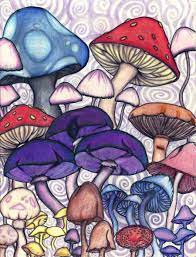 Pin On Kaylee S Zentangles