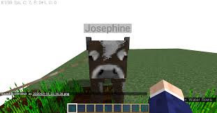 .minecraft ın içine mods diye. Modlu Survival Minecraft Indir
