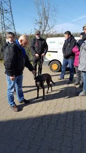 Tierheim in wanne vermittelt hunde. Unser Winterspaziergang Am Tierheim Herne Wanne Facebook