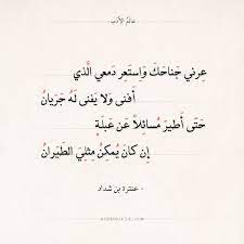شعر عنترة بن شداد عرني جناحك واستعر دمعي الذي عالم الأدب math equations math arabic calligraphy