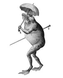 Black And White Umbrella Cartoon Cartoon Frog With Umbrella Clip Art Frog Drawing Art