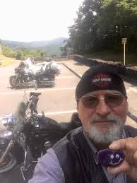 Hog painted rock left at Cherohoka Harley Davidson