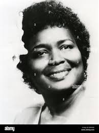 Eva pop hi-res stock photography and images