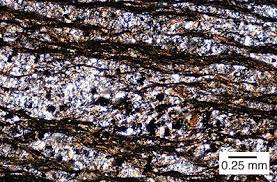 Phyllite In Xpl Wavy Foliation And Small Grains Metamorphic Rocks Too Thin Petunias