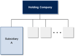 There are some types of llcs that allow multiple owners and others that. The What Why And How Of Series Limited Liability Companies Cenkus Law