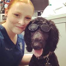 Meet Our Owensboro, KY Veterinary Team