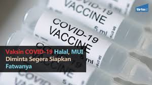 Vaksin Covid 19 Halal Mui Diminta Segera Siapkan Fatwanya Tirto Kilat Youtube