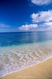 Choose from hundreds of free virtual zoom backgrounds. Zoom Background Beach Animated