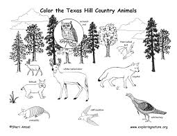 Orlando argueta which is dedicated in facebook is showing information to help you better understand the purpose of a page. Texas Hill Country Coloring Page