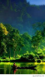 Image for hd nature wallpapers for android phones free download. Nature Wallpaper For Android Mobile 480x830 Download Hd Wallpaper Wallpapertip