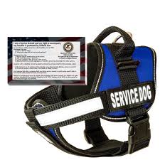 real service dog vest harness 50 free ada info cards kit trust me this is great click the image dog stuff