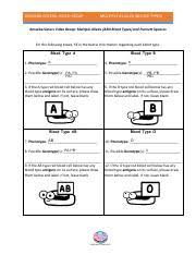 Some of the worksheets displayed are work monohybrid crosses, practice with monohybrid punnett squares. Amoeba Sisters Multiple Alleles Blood Type Worksheet Answers Multiple Alleles Abo Blood Types Answer Key By The Amoeba Sisters