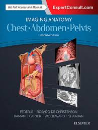 It removes junk , and explosions from the destruction table while replacing them with pickups (such as , , , etc), it also improves the quality of dropped items. Imaging Anatomy Chest Abdomen Pelvis Frohberg