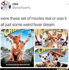 Were These Set Of Movies Real Or Was It All Just Some Weird Fever Dream Ifunny Funny Memes Funny Relatable Memes Funny Pictures