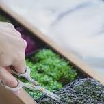 Living Garden Wine Dinner