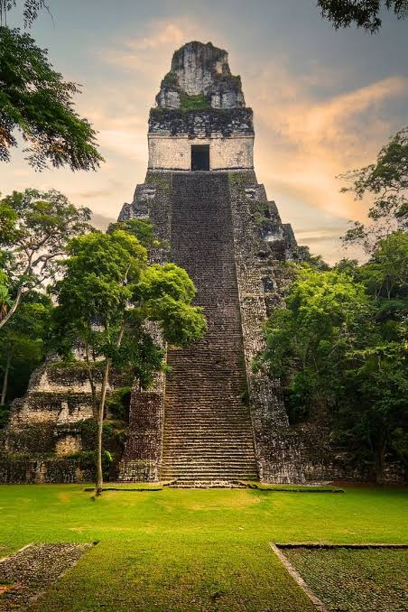 🌿🗿 Tikal, corazón del mundo maya 🗿🌿 En medio de la selva del Petén guatemalteco se alza imponente Tikal, uno de los sitios arqueológicos más importantes de Mesoamérica. Su joya principal es