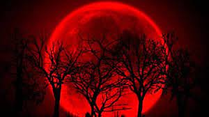 Este eclipse de luna roja sorprende este fenómeno porque simultáneamente a este planeta tierra es cuando esta mas cerca. 28w 9 Hudxrjm