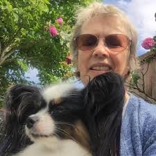 Papillon Butterfly Dog Club Rescue & Rehoming Service UK