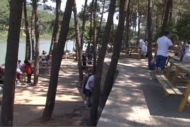 Aydos ormanı nerede, aydos ormanı giriş ücreti, aydos ormanı piknik alanı, aydos ormanı cennet bahçesi, aydos ormanına nasıl gidilir, aydos ormanı kamp vb. En Hizli Aydos Ormani Piknik
