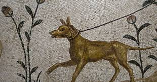 Dog Mosaid Bardo Museum Tunis Roman Mosaic Art Roman Mosaic Mosaic Art