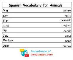 For more emphasis, you could say lo siento mucho, which would translate to i'm really sorry. Learn Basic Spanish Grammar Spanish Language Grammer Guide