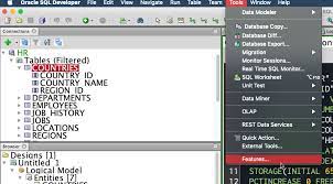 And just delete that entire sqldeveloper directory. Oracle Sql Developer Make It Run Faster
