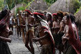 Suku asmat sendiri merupakan salah satu suku yang berasal dari papua. Egindo Suku Dani Papua