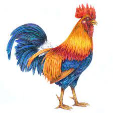 We did not find results for: Rooster Drawing Pencil Art Drawings Color Pencil Drawing Military Artwork
