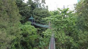 Korang nampak tak menara kl? Walk With Me Taman Eco Rimba Kl Part 1 Youtube