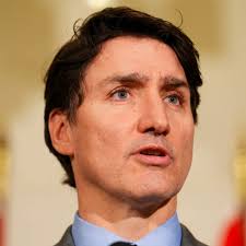 Island businesses will be looking to diversify as tariffs threaten U.S.  market